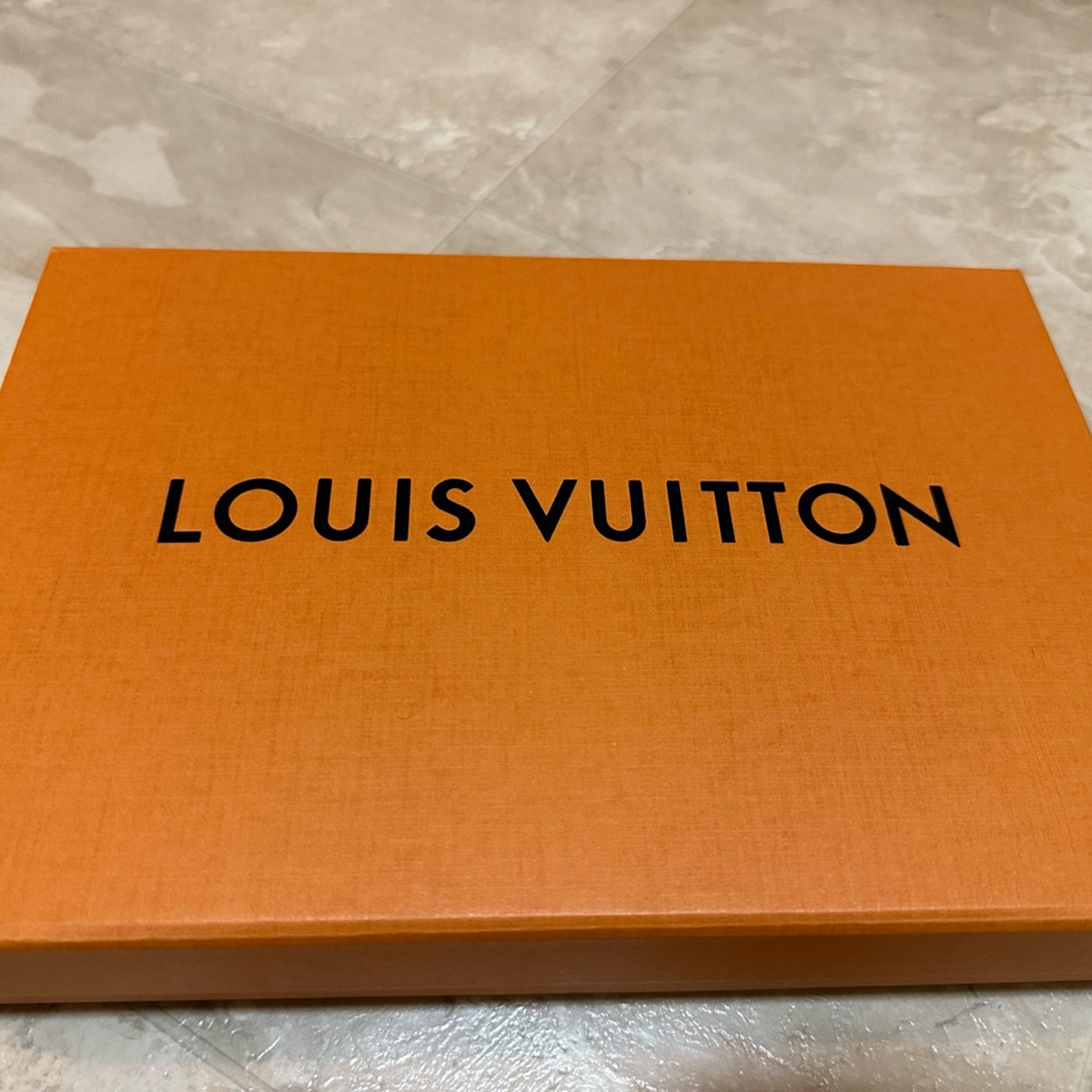 LV Multi Pochette Accessoires bag